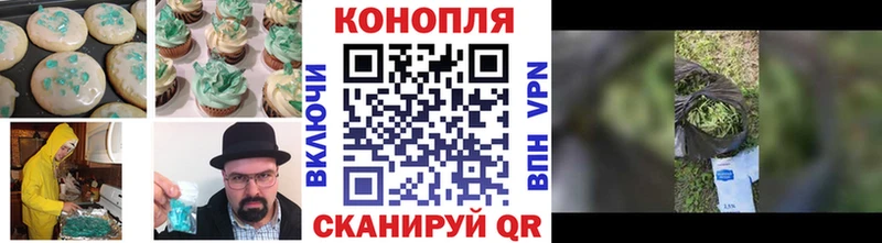 дарнет шоп  Находка  shop формула  Canna-Cookies конопля 