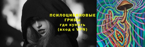 PSILOCYBIN Алексин