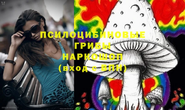 PSILOCYBIN Алексин