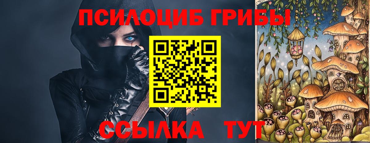 Находка  Псилоцибиновые грибы ЛСД  Вход с VPN 